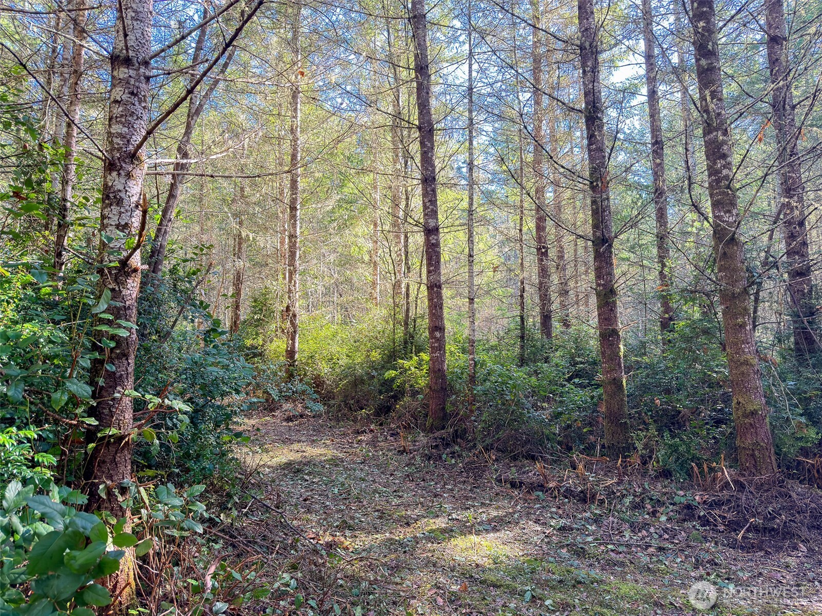 222 x Octopus Court , Quilcene, WA 98376