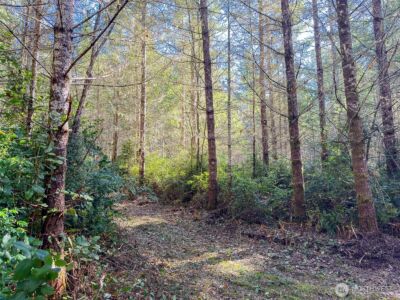 222 x Octopus Court , Quilcene, WA 98376 - Photo 13