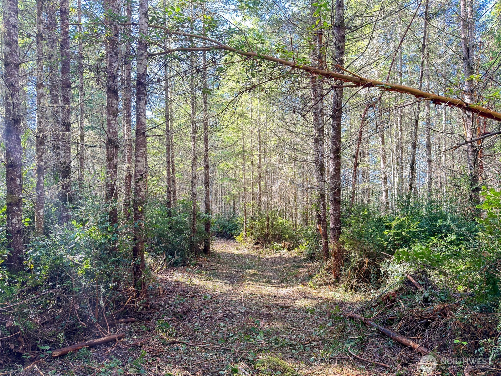 222 x Octopus Court , Quilcene, WA 98376