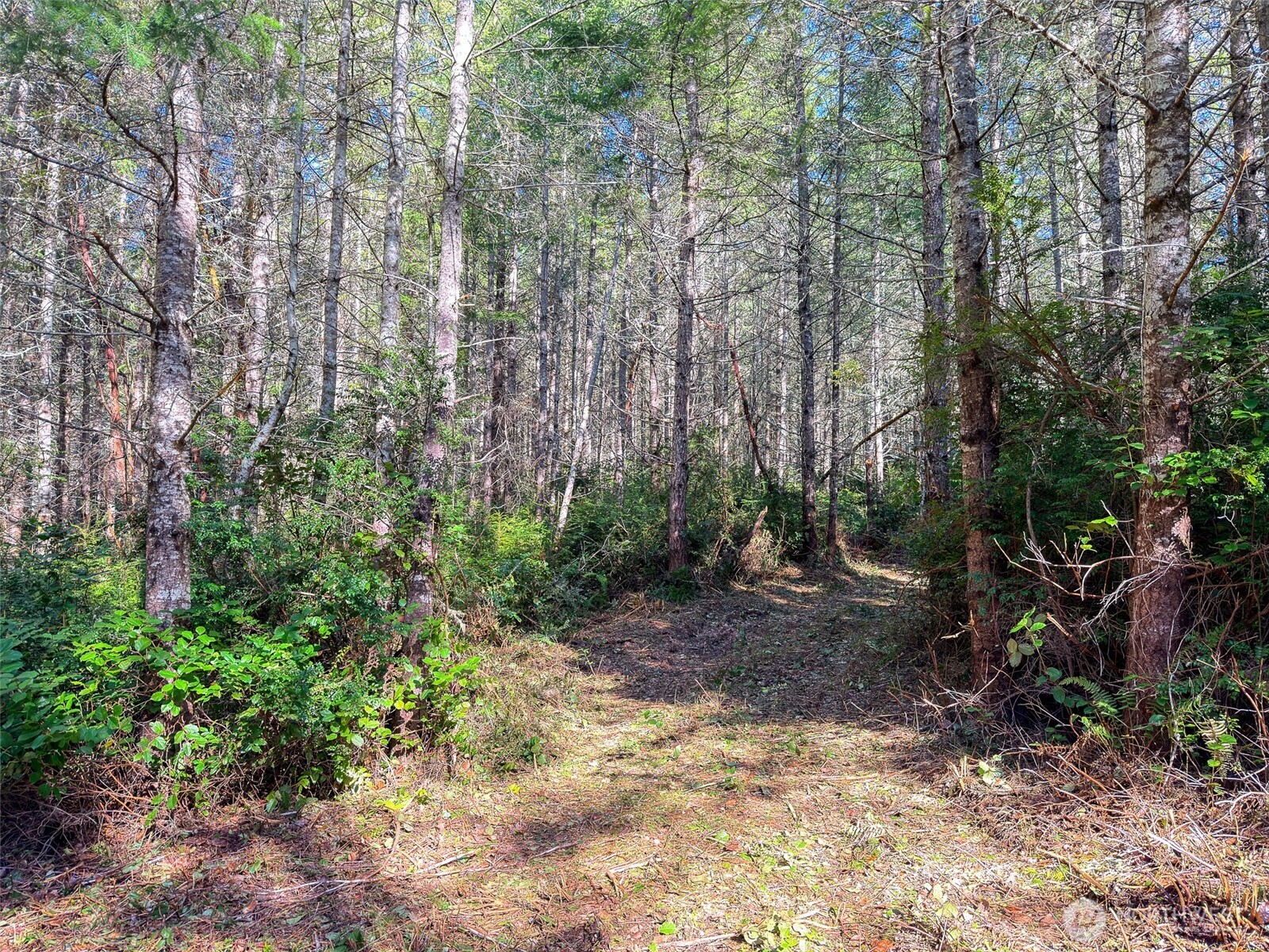 222 x Octopus Court , Quilcene, WA 98376