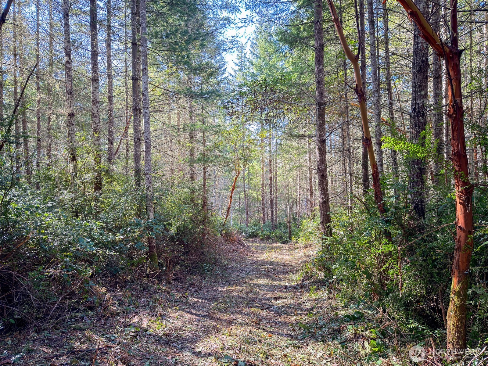 222 x Octopus Court , Quilcene, WA 98376