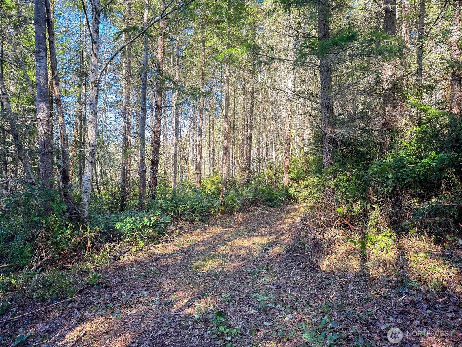 222 x Octopus Court , Quilcene, WA 98376