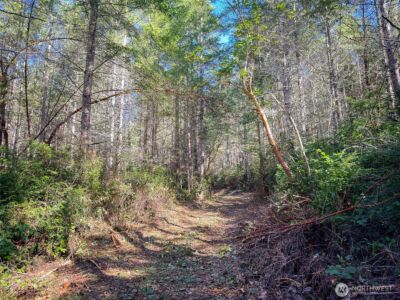 222 x Octopus Court , Quilcene, WA 98376 - Photo 18