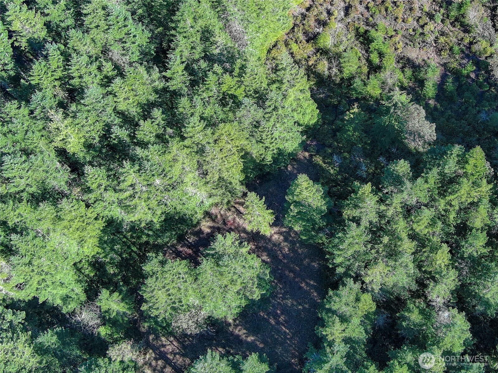 222 x Octopus Court , Quilcene, WA 98376