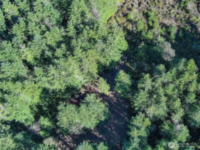 222 x Octopus Court , Quilcene, WA 98376 - Photo 21