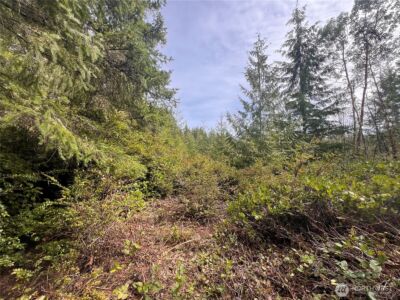 222 x Octopus Court , Quilcene, WA 98376 - Photo 4