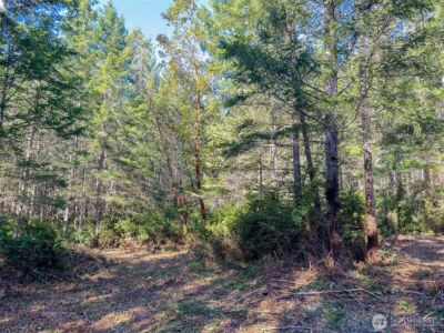 222 x Octopus Court , Quilcene, WA 98376 - Photo 5