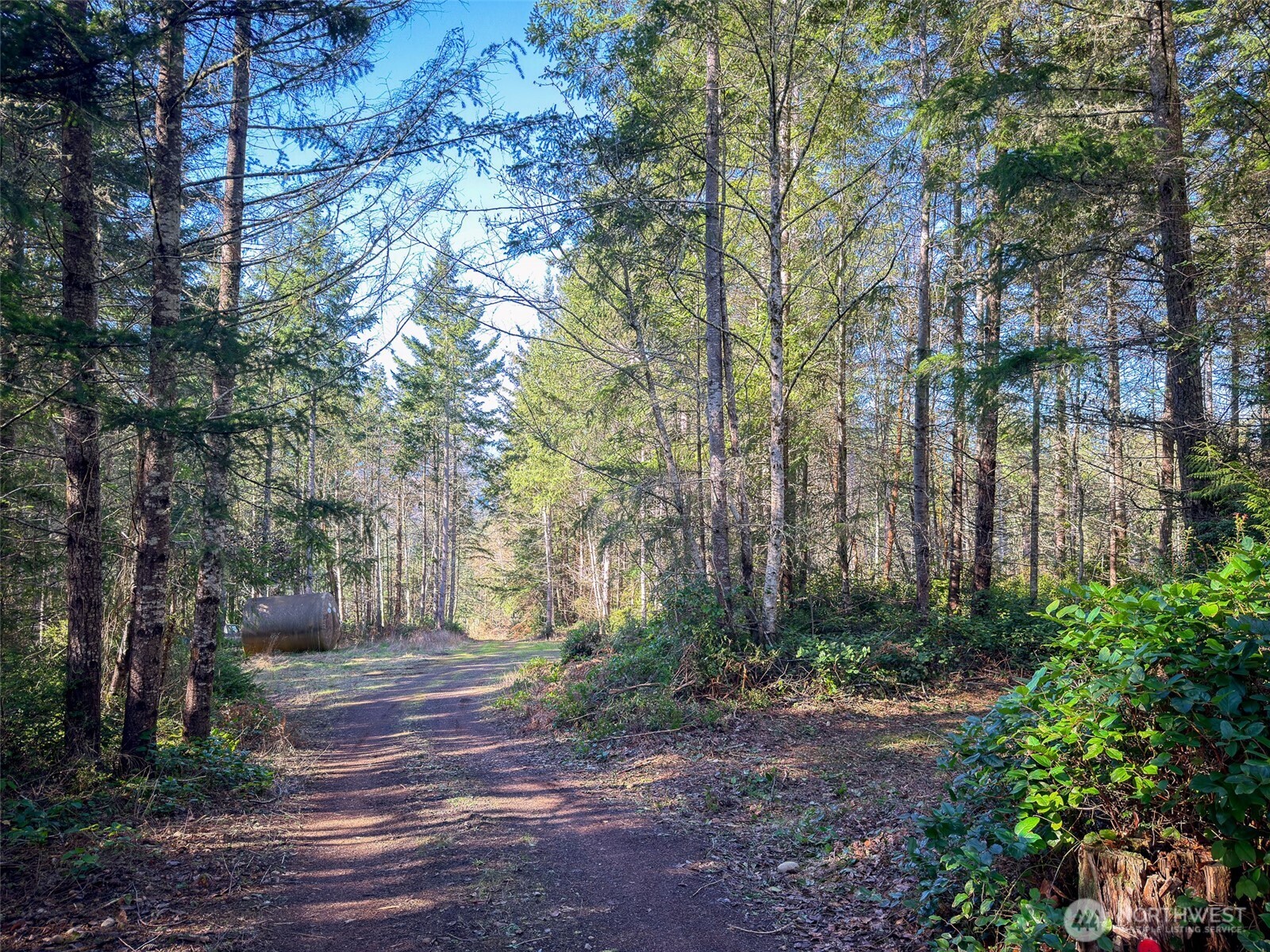 222 x Octopus Court , Quilcene, WA 98376