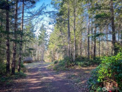 222 x Octopus Court , Quilcene, WA 98376 - Photo 6