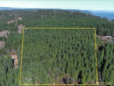 222 x Octopus Court , Quilcene, WA 98376 - Photo 7