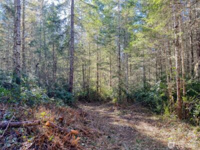 222 x Octopus Court , Quilcene, WA 98376 - Photo 10