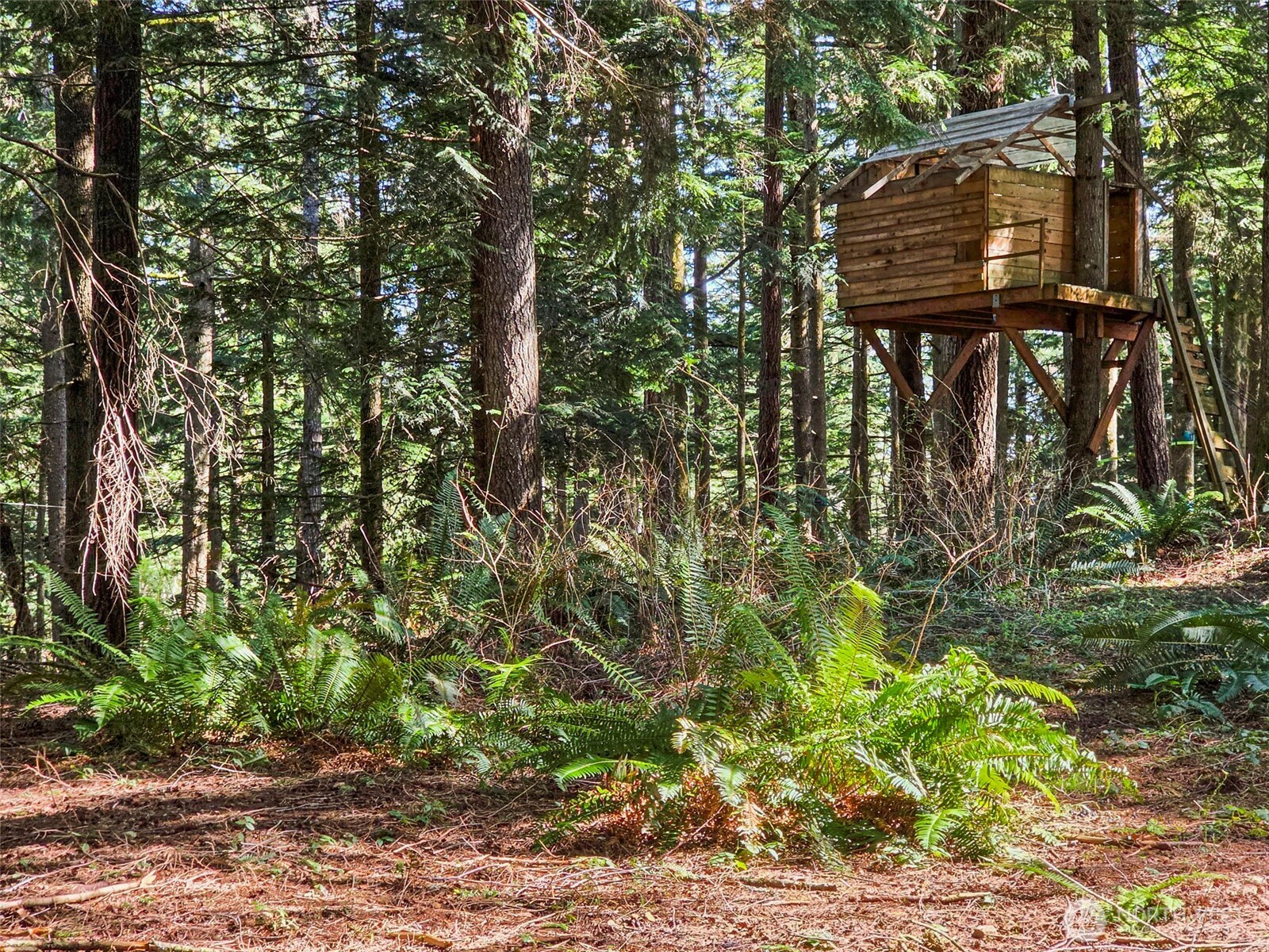 31408 SE Retreat Kanaskat Road , Ravensdale, WA 98051