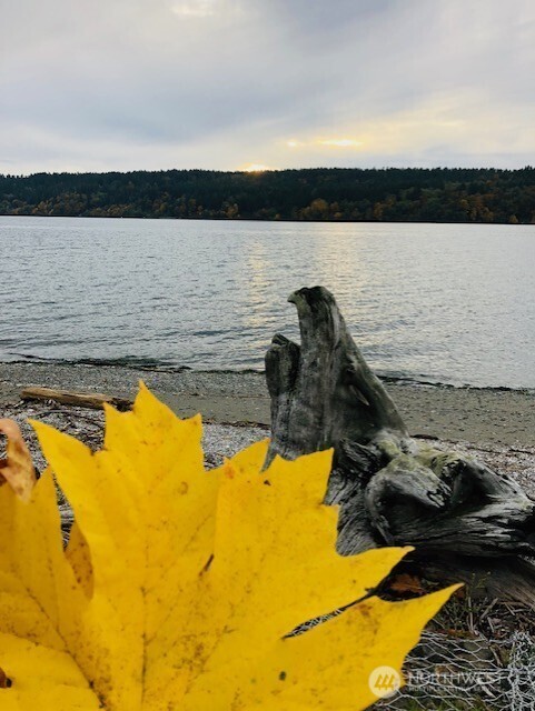 27728 Manzanita Beach Rd SW , Vashon, WA 98070