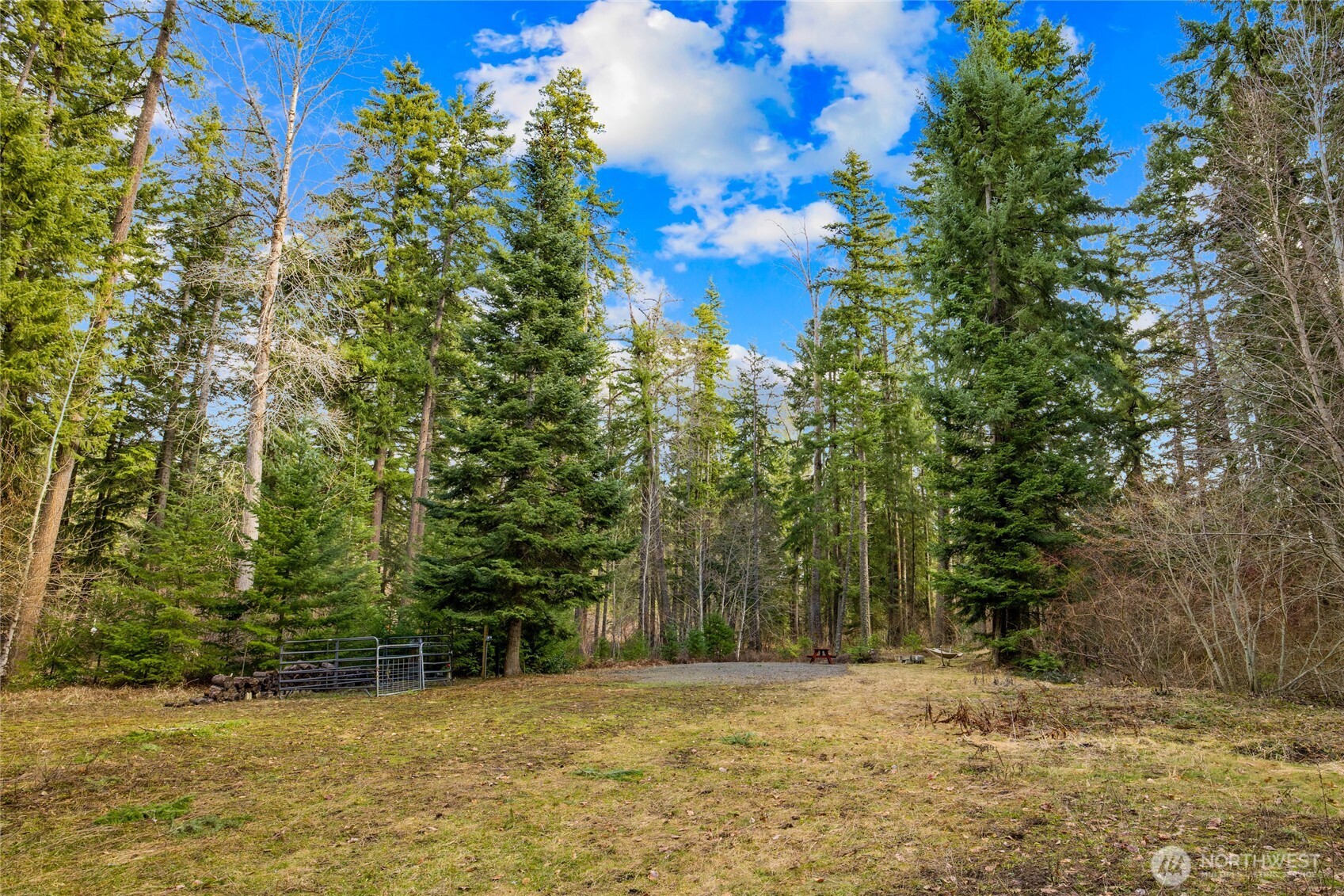 91 Blue Spruce Drive , Easton, WA 98925