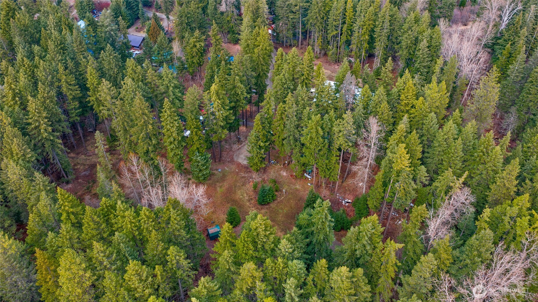 91 Blue Spruce Drive , Easton, WA 98925