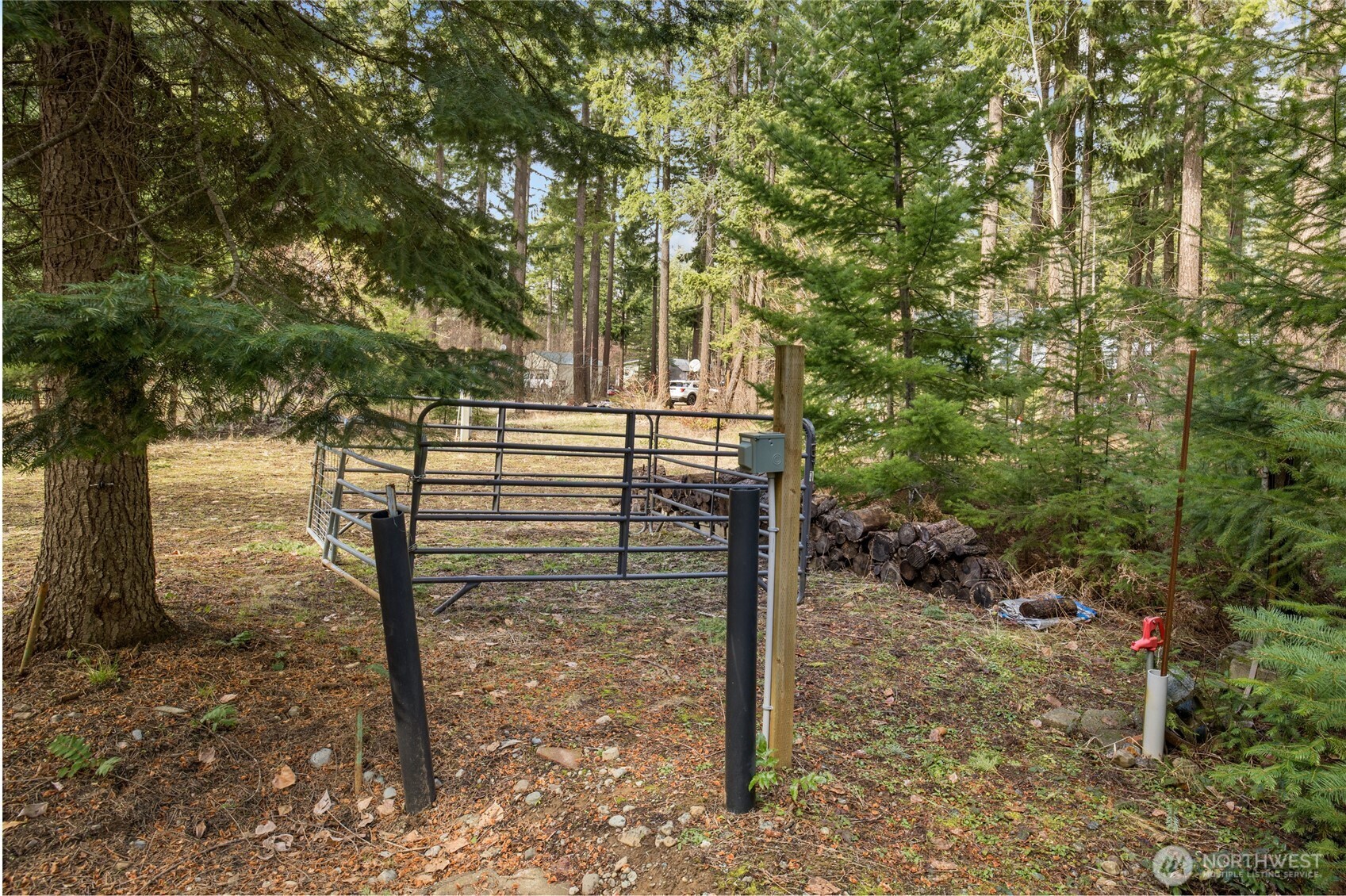 91 Blue Spruce Drive , Easton, WA 98925