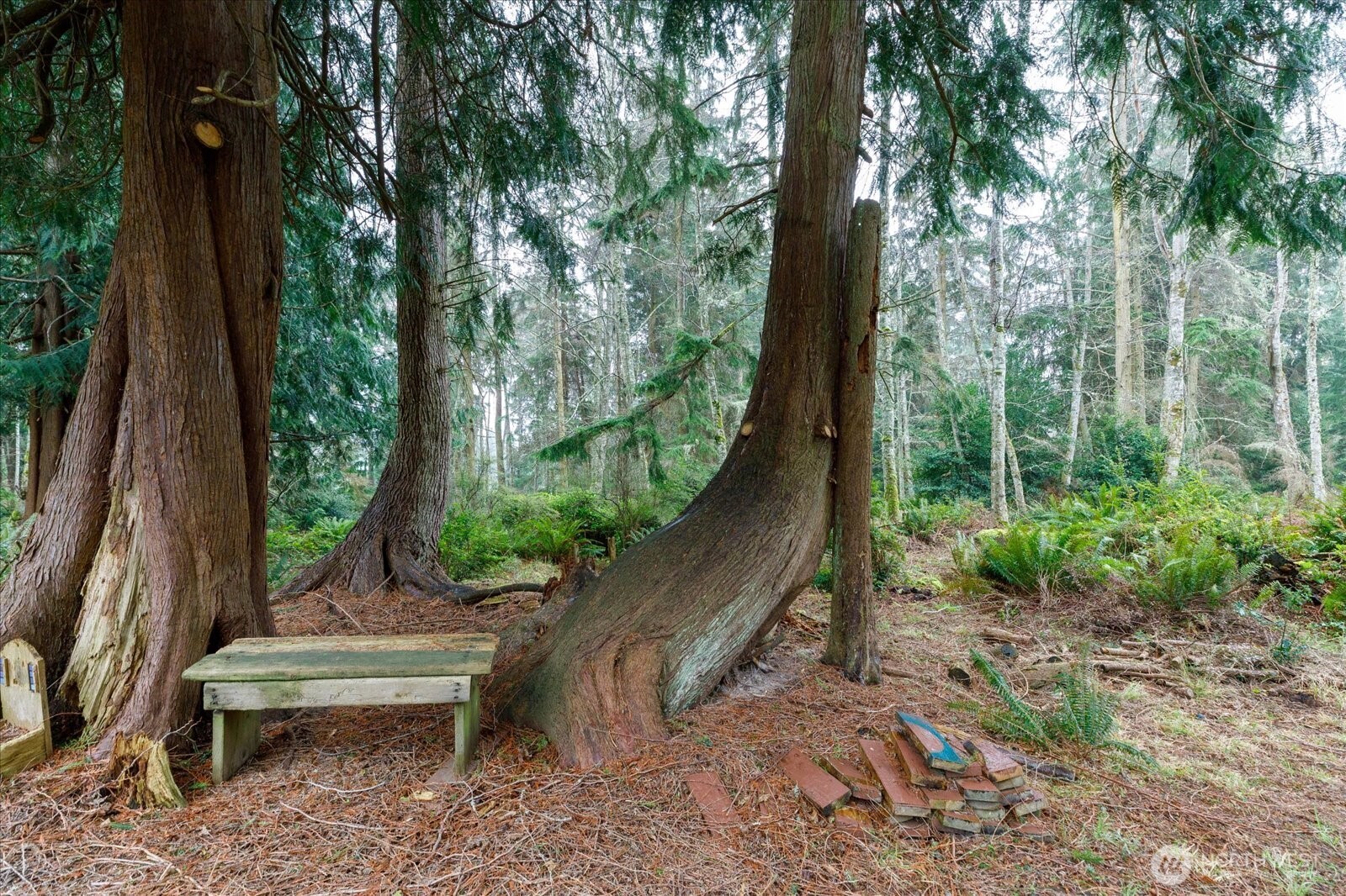 1140 Sherwood Lane , Greenbank, WA 98253