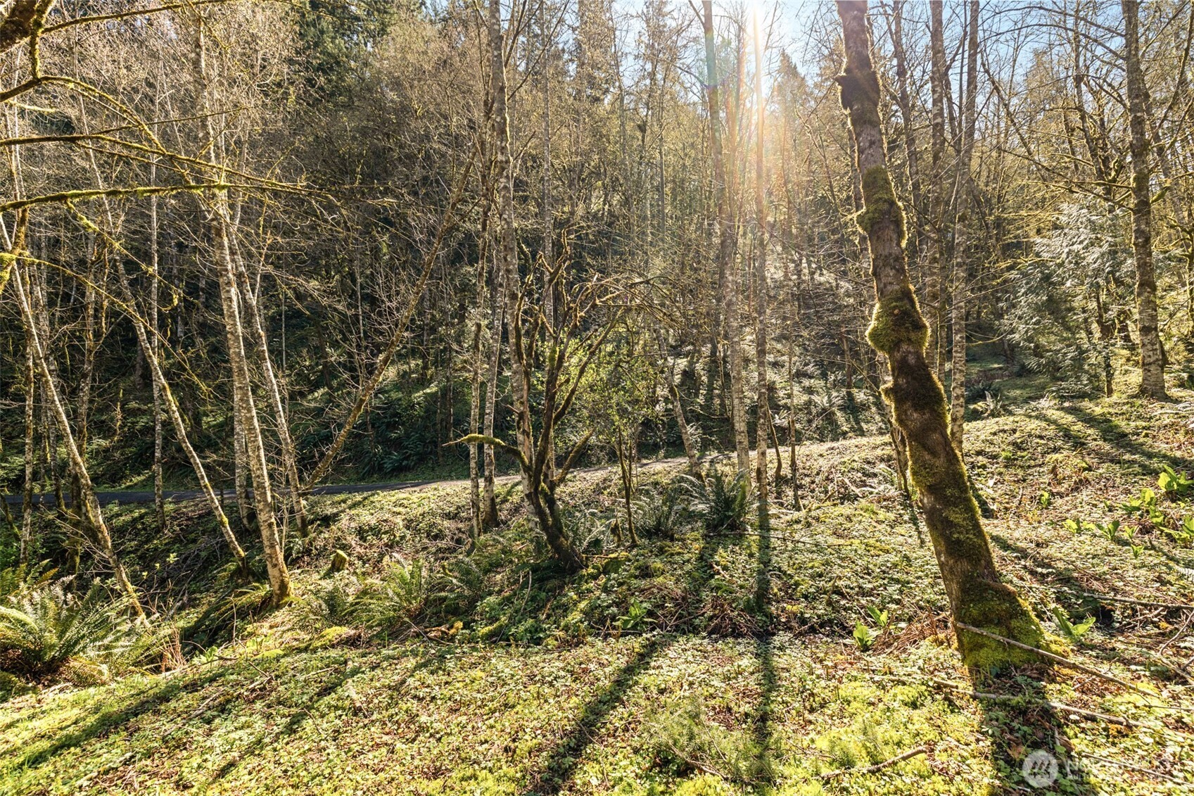 0 NE 5th Street , Washougal, WA 98671