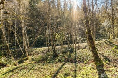 0 NE 5th Street , Washougal, WA 98671 - Photo 3