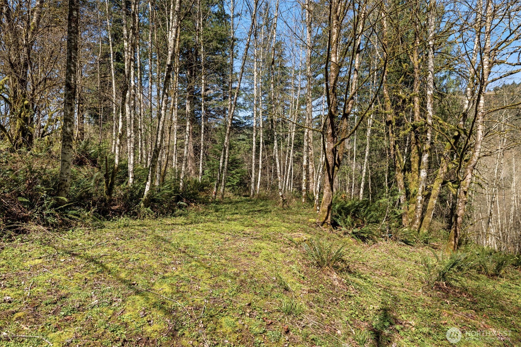 0 NE 5th Street , Washougal, WA 98671