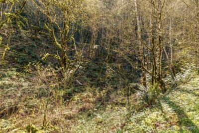 0 NE 5th Street , Washougal, WA 98671 - Photo 5