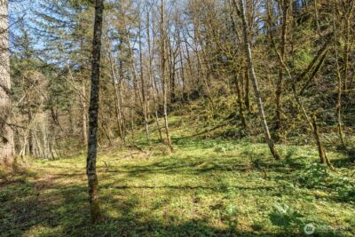 35034 NE 5th Street , Washougal, WA 98671 - Photo 5