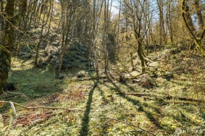 35034 NE 5th Street , Washougal, WA 98671 - Photo 6