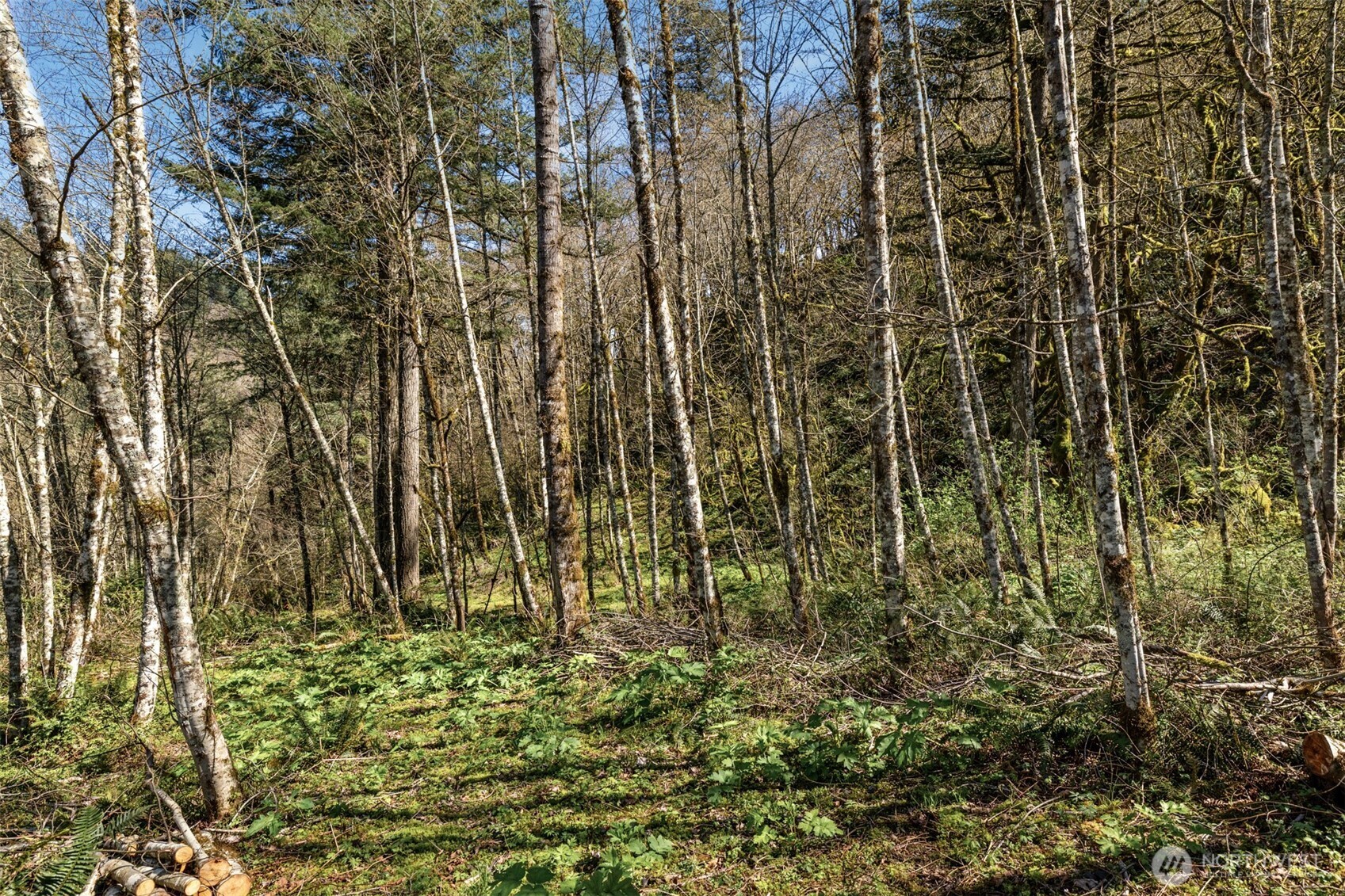 35034 NE 5th Street , Washougal, WA 98671