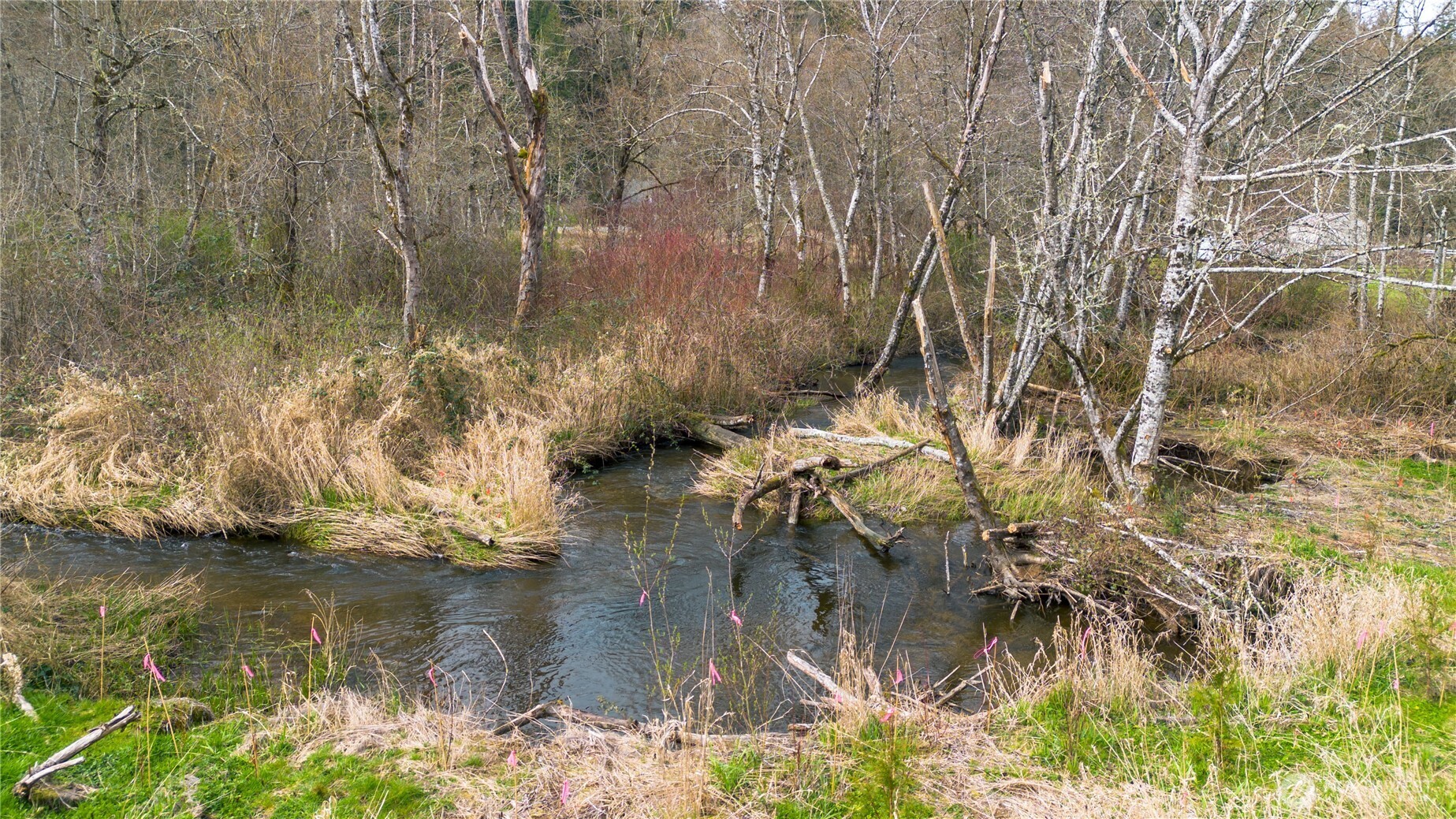 25177 Triple Creek Lane , Mount Vernon, WA 98274-7071