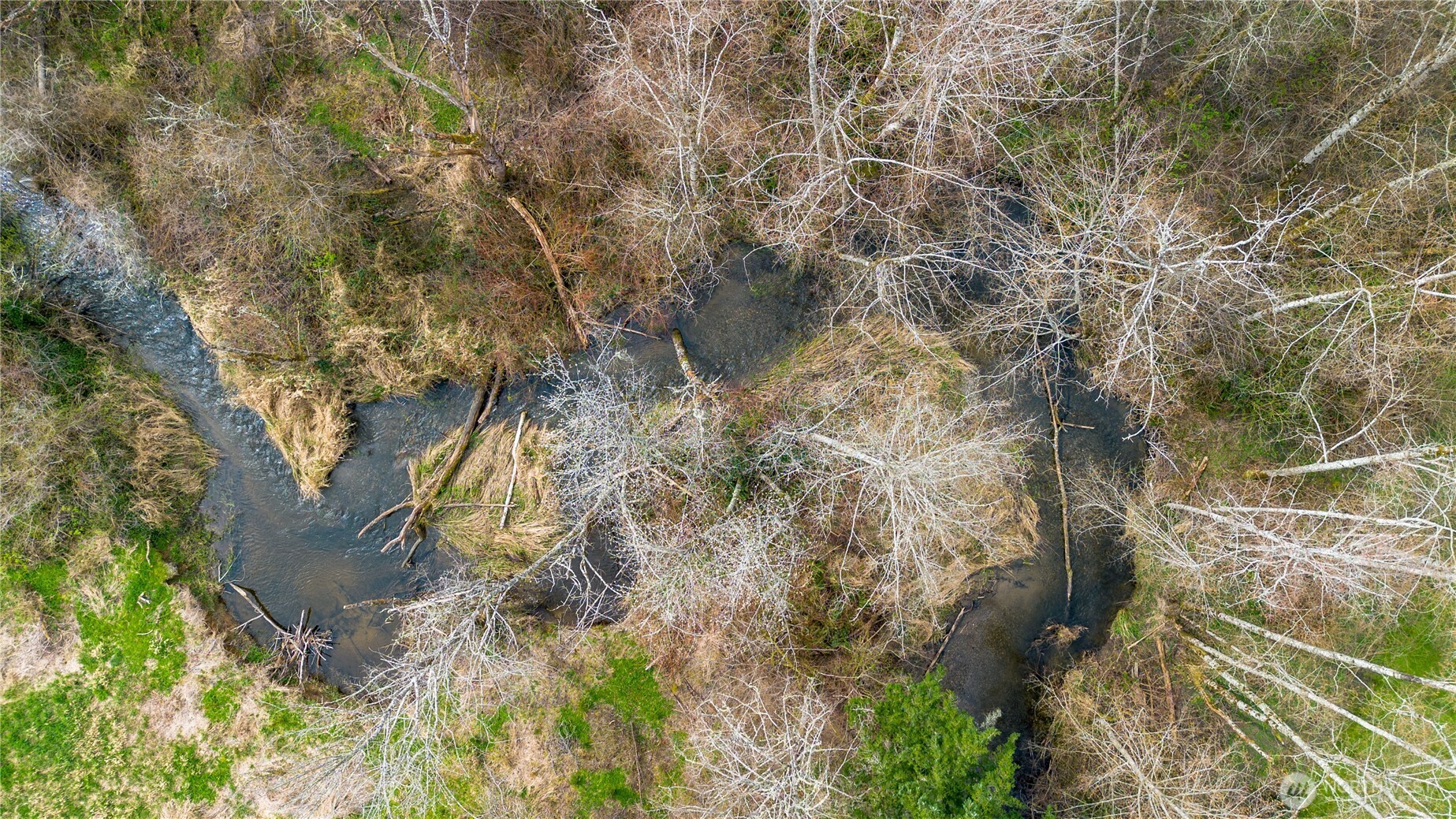 25177 Triple Creek Lane , Mount Vernon, WA 98274-7071