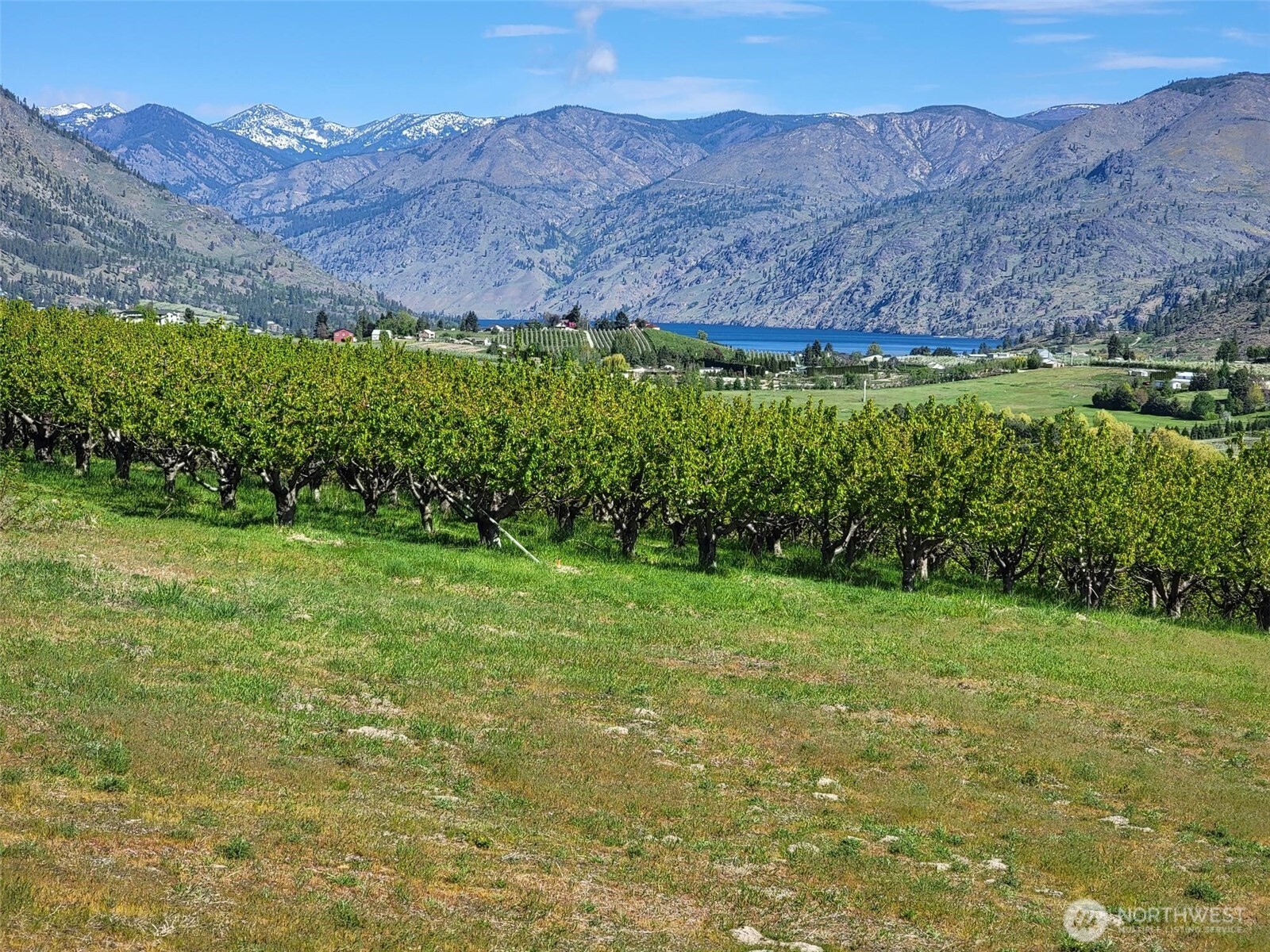 25 Milan Street , Manson, WA 98831