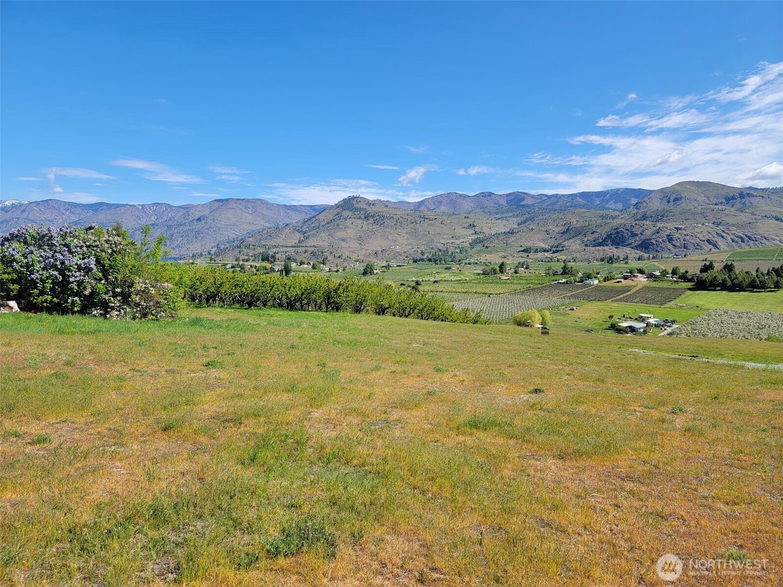 25 Milan Street , Manson, WA 98831