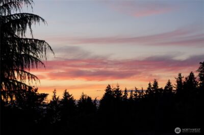 1115 4th Avenue S #3C, Edmonds, WA 98020 - Photo 2