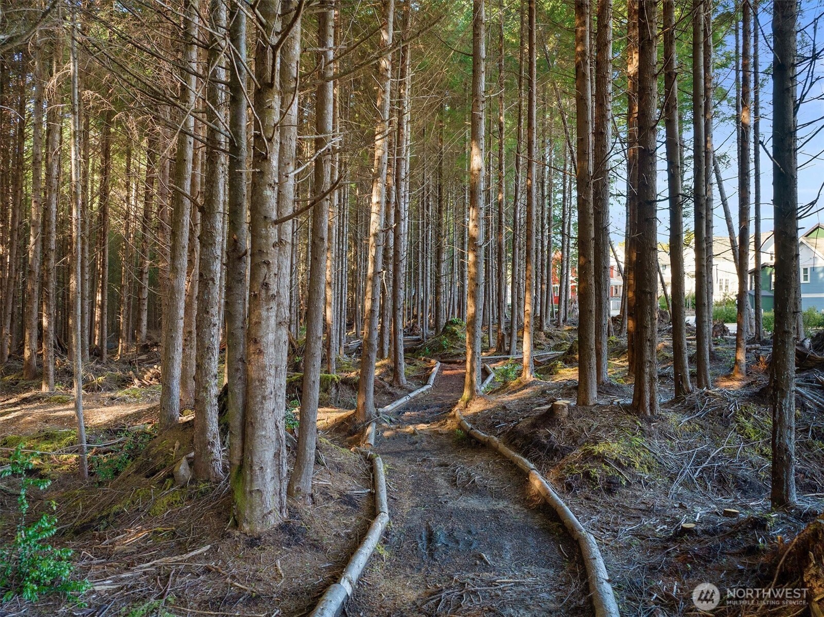 417 E Compass Street , Pacific Beach, WA 98571