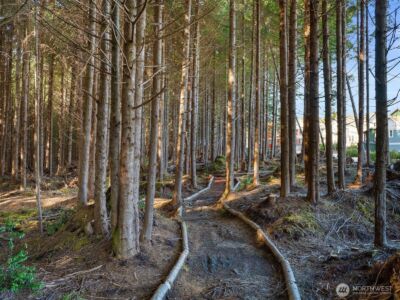 417 E Compass Street , Pacific Beach, WA 98571 - Photo 25