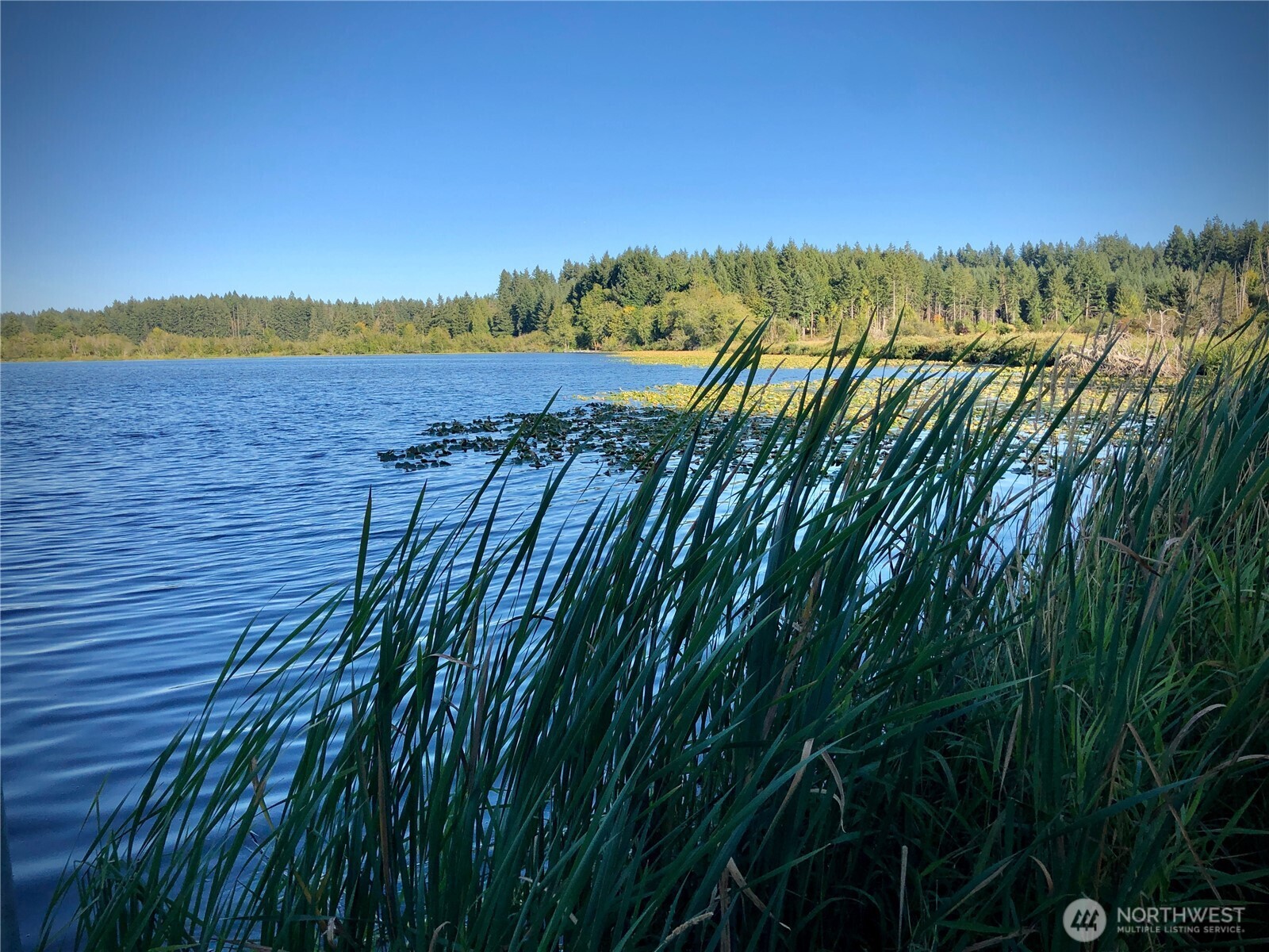 2813 Bona Vista Drive SW, Olympia, WA 98512-9010