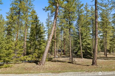 105 Wanawish Loop , Cle Elum, WA 98922 - Photo 3