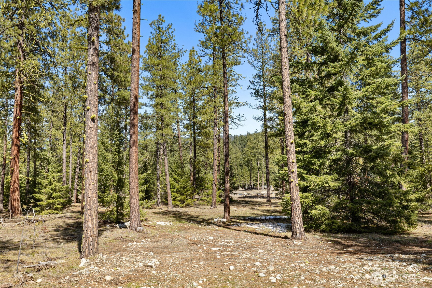 105 Wanawish Loop , Cle Elum, WA 98922