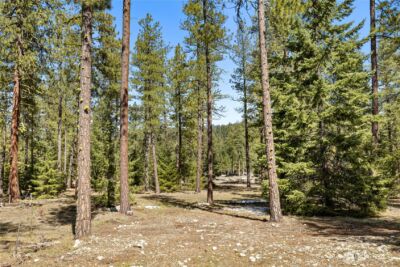 105 Wanawish Loop , Cle Elum, WA 98922 - Photo 4