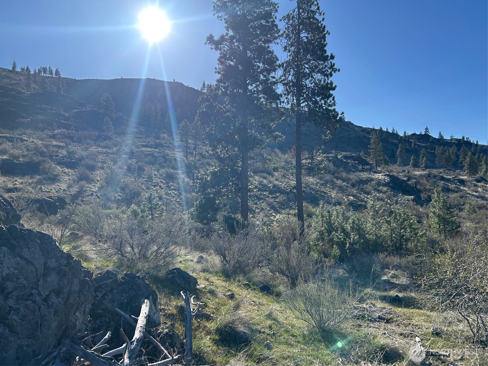 1669 Emerson Acres Road , Manson, WA 98831