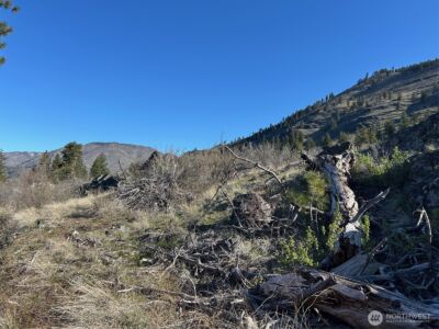 1669 Emerson Acres Road , Manson, WA 98831 - Photo 8