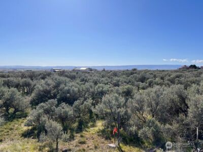 0 Adams Road NW, Quincy, WA 98848 - Photo 7