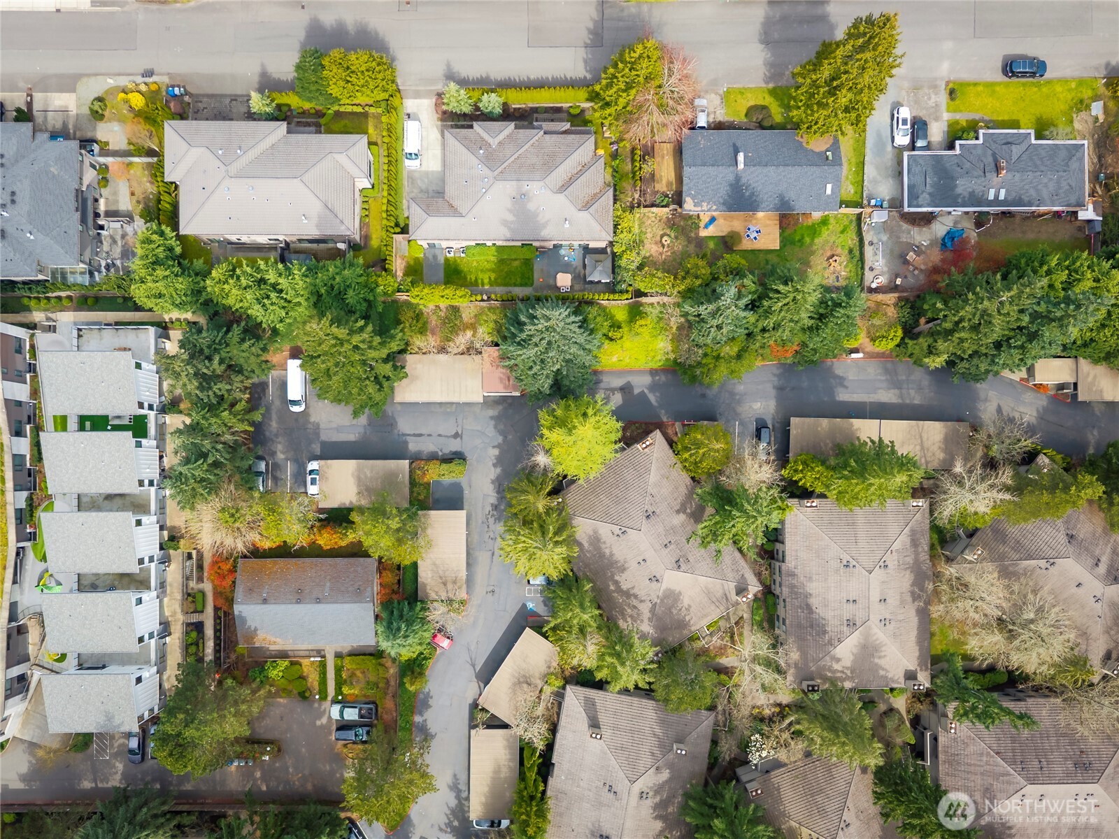 1336 Bellevue Way NE #4, Bellevue, WA 98004