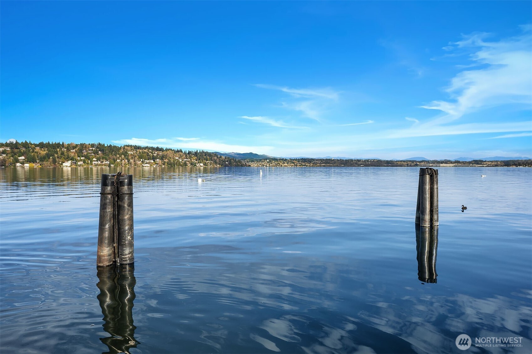 8418 Island Drive S, Seattle, WA 98118