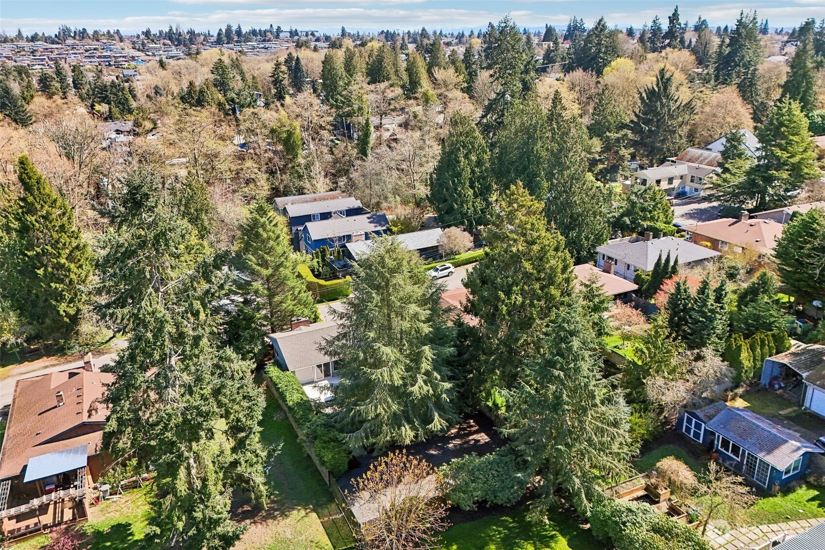 9009 30th Avenue NW, Seattle, WA 98117