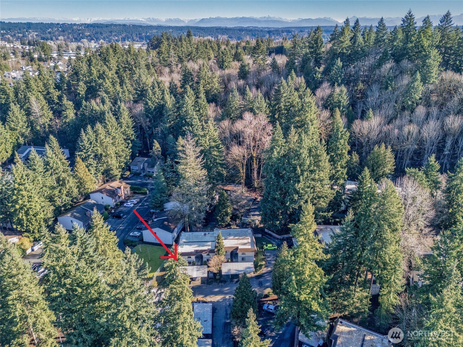 12528 NE 117th Place #E1, Kirkland, WA 98034