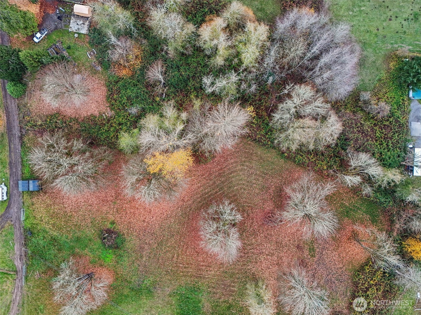 11134 Winlock Court SE, Olympia, WA 98513