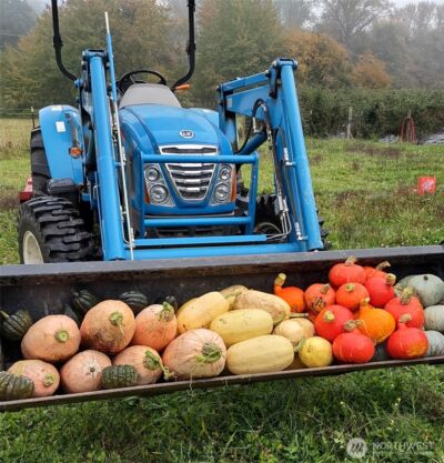 11134 Winlock Court SE, Olympia, WA 98513 - Photo 29