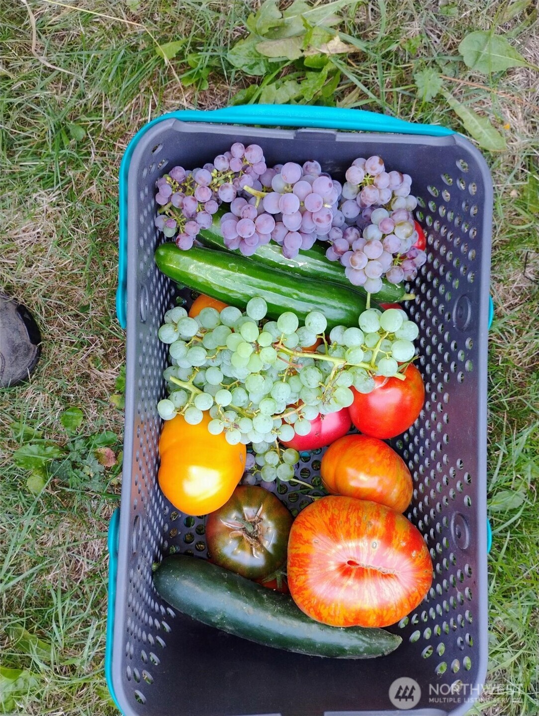 11134 Winlock Court SE, Olympia, WA 98513