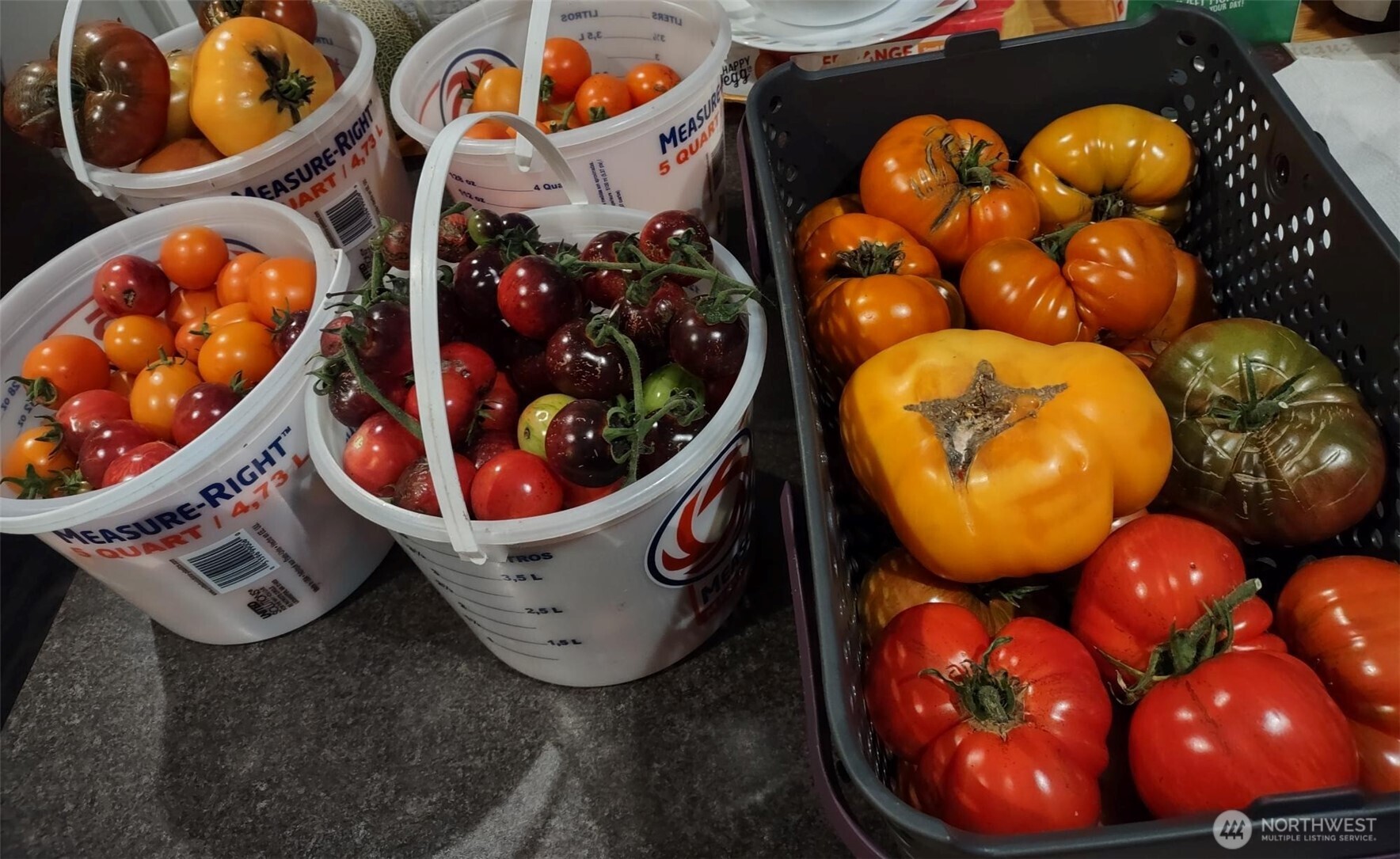 11134 Winlock Court SE, Olympia, WA 98513